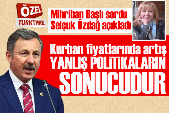 Turktime Parlamento Şefi Mihriban Başlı sordu, Saadet Partili Özdağ açıkladı: Kurban fiyatlarındaki artış yanlış politikaların sonucudur