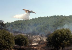 Muğla da Orman Yangını!