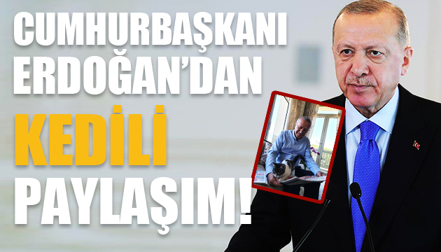 Cumhurbaşkanı Erdoğan dan kedili paylaşım!