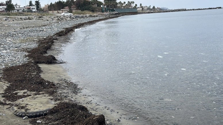 Hatay sahilinde korkutan görüntünün sebebi açıklandı