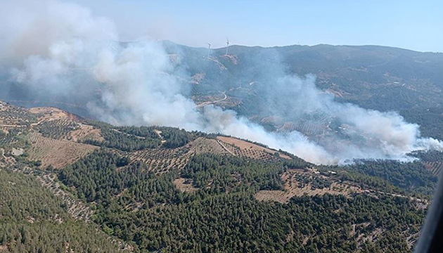 Hatay da orman yangını