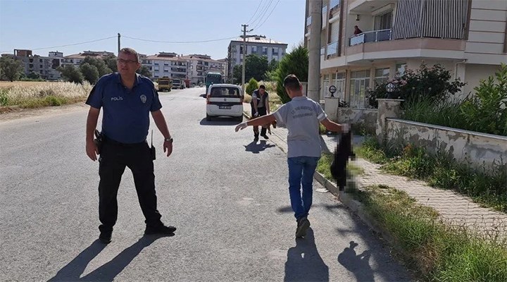 Vahşet! Kedi ve köpekleri zehirli kıyma vererek öldürdüler