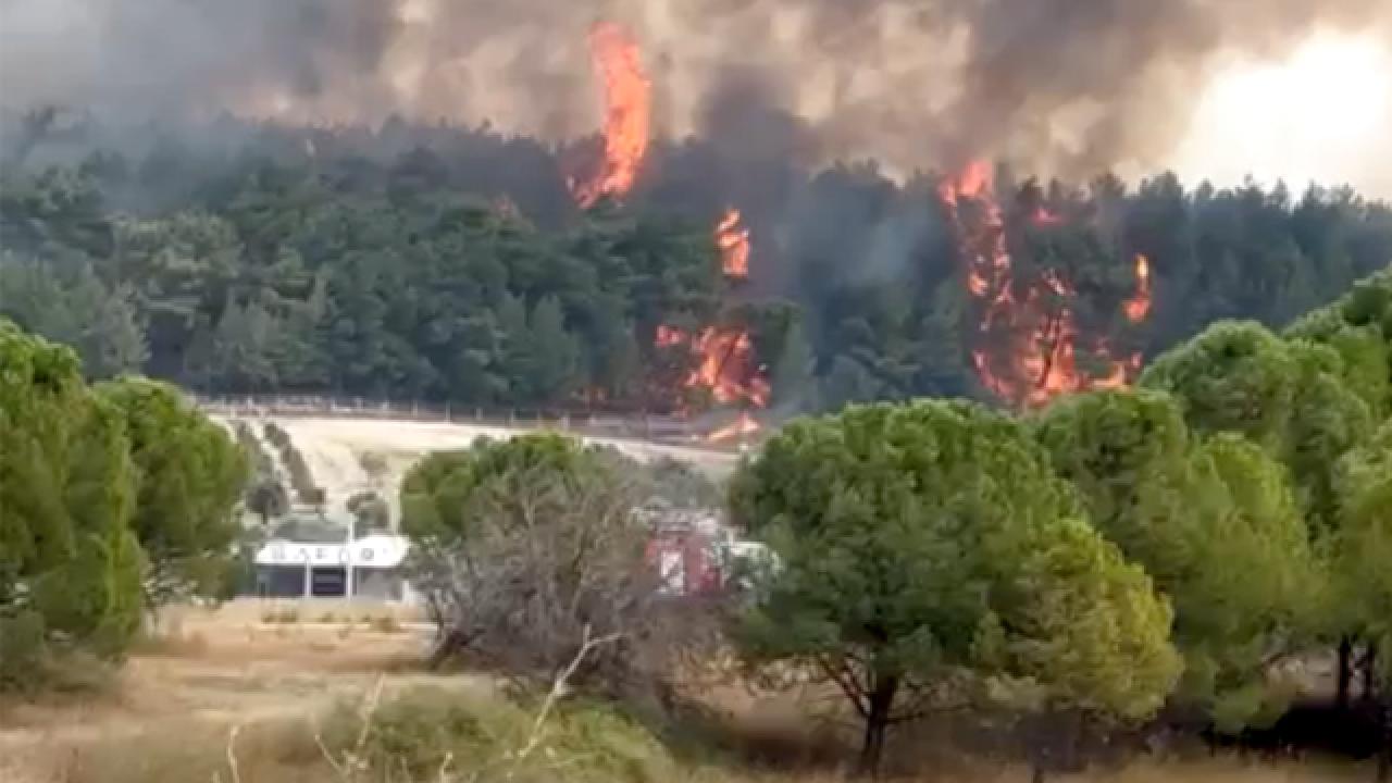 İzmir de orman yangını