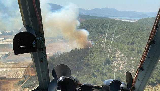 Serada başlayan yangın ormana sıçradı!