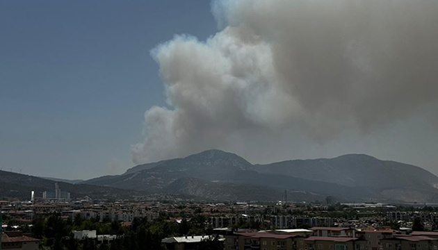 İzmir de orman yangını