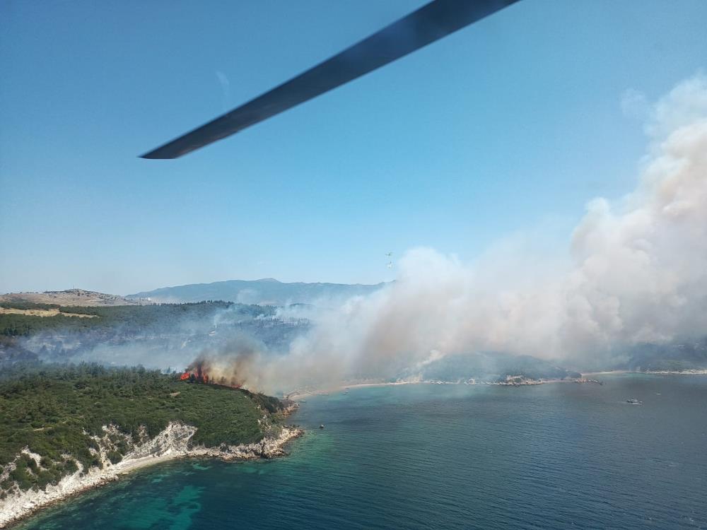 İzmir de orman yangını!