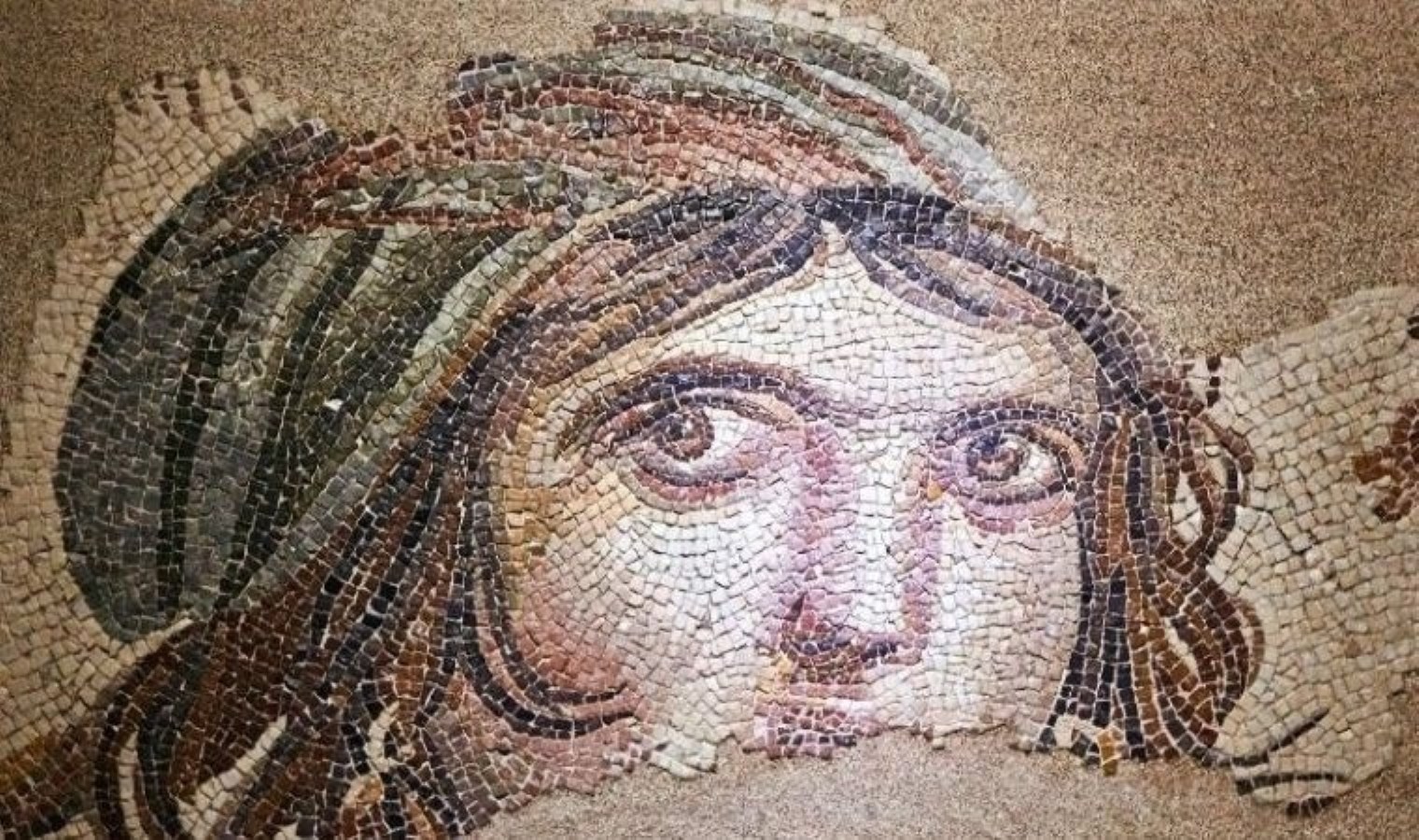 Zeugma Mozaik Müzesi ziyaretçi rekoru kırdı