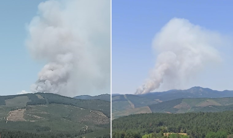 Bursa’da orman yangını