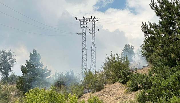 Kastamonu’da orman yangını