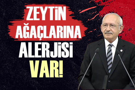 Kemal Kılıçdaroğlu: Zeytin ağaçlarına alerjisi var!