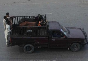 Kurban Bayramı Pakistan da bugün başladı!