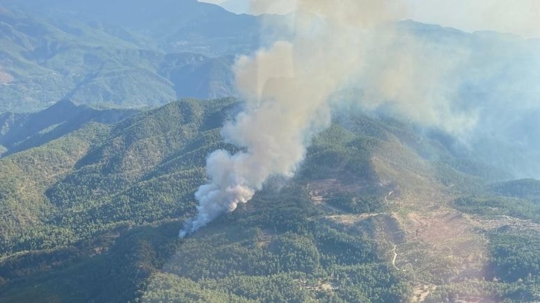 Müdahale sürüyor: Muğla da yangın!