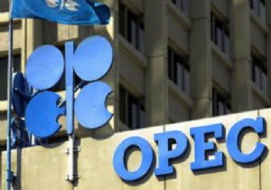 OPEC petrol değişikliğe gitmedi