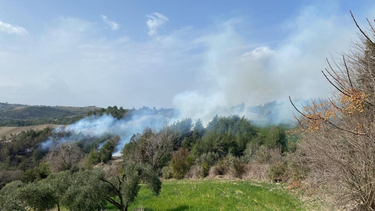 Osmaniye de orman yangını