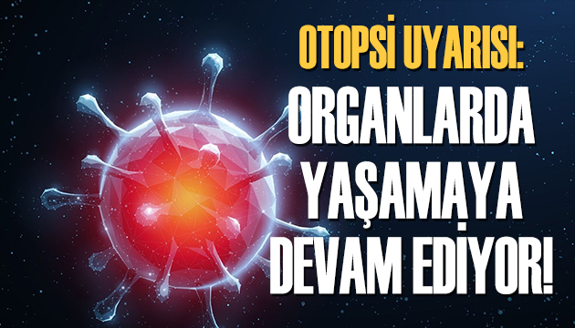 Organlar virüsü taşıyor olabilir!