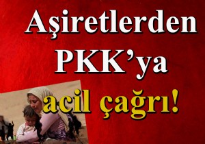 ABD den PKK Güvencesi