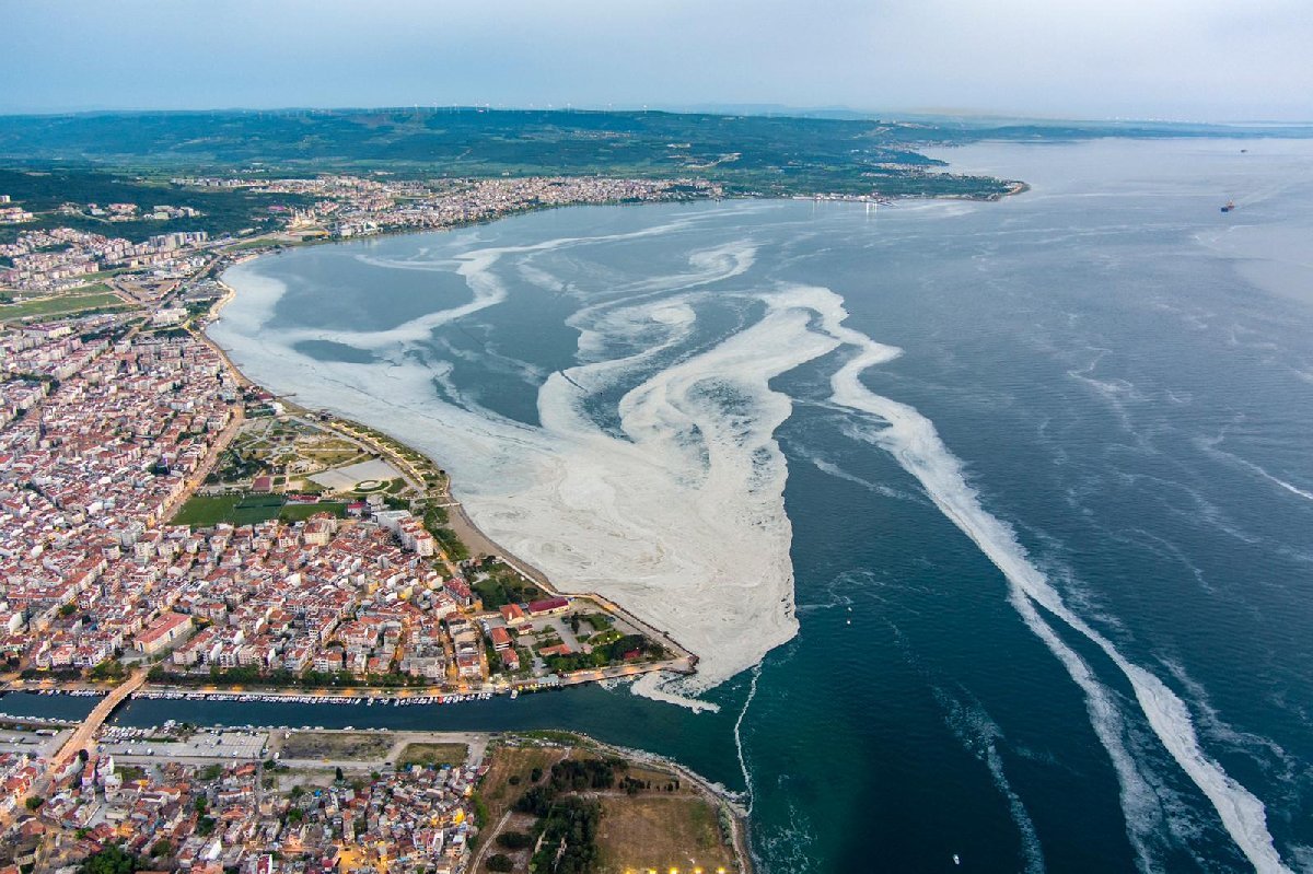 Marmara için korkutan müsilaj uyarısı!