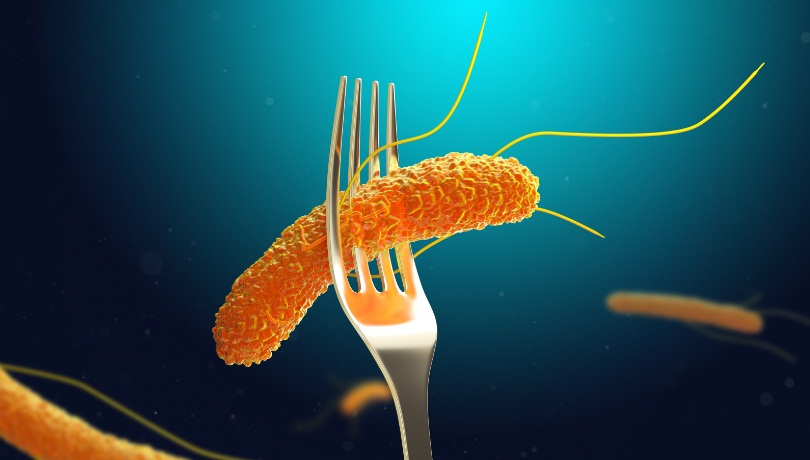 Salmonella salgını! 6 kişi hastanelik oldu