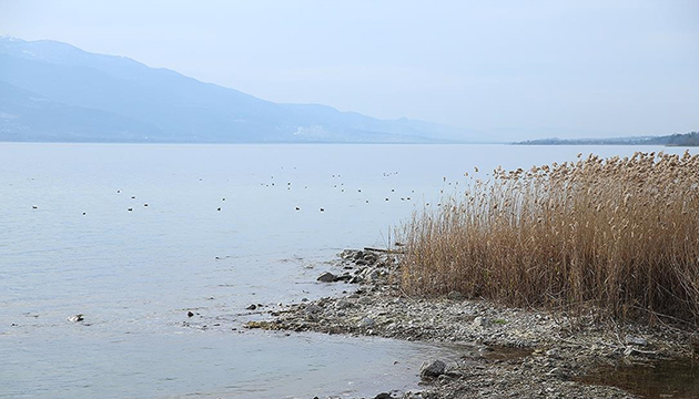 Sapanca Gölü için kritik karar