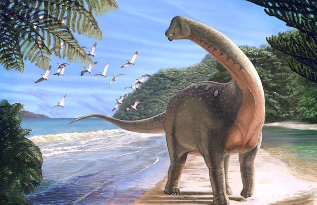 Yeni bir dinozor türü bulundu