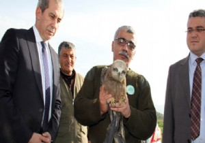 Yaralı Kuş Tedavi Edildikten Sonra Doğaya Bırakıldı!