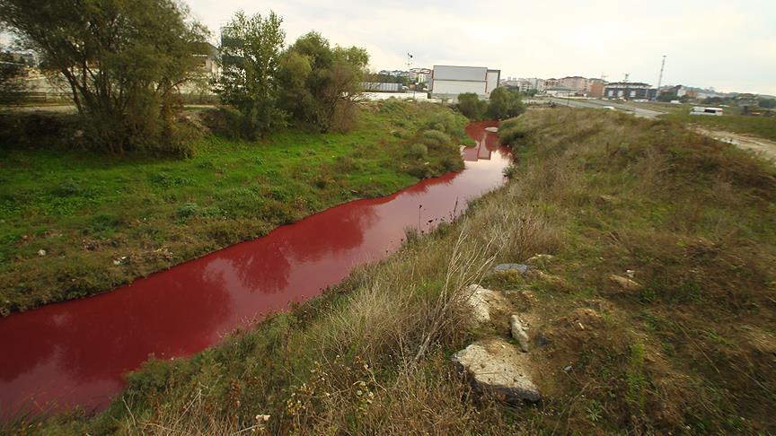 Çorlu Deresi  kırmızı ve pembe  akıyor