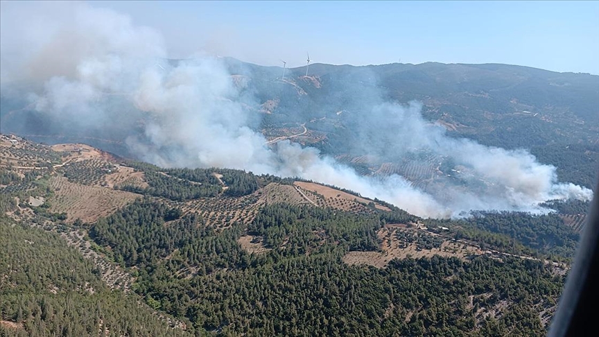 Hatay da orman yangını