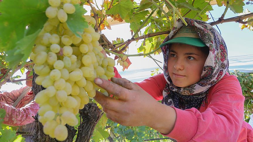 Üreticilerin sorunları araştırılacak