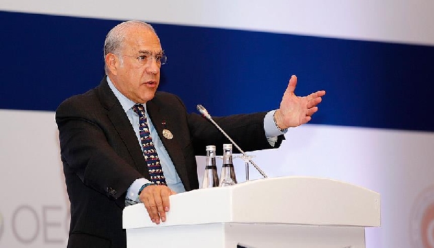 OECD Genel Sekreteri Gurria: