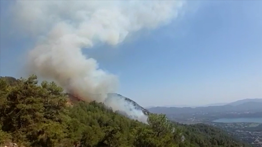 Muğla da orman yangını