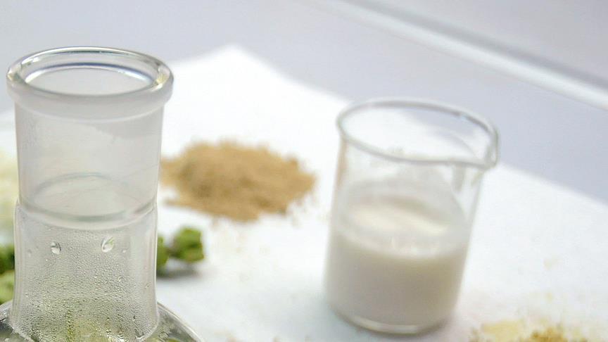  DNA hasarına karşı kefir için 