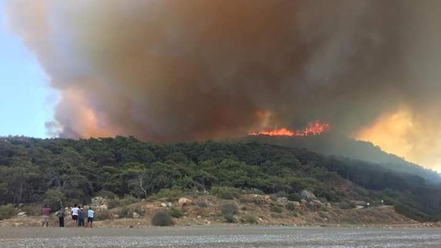 Antalya da orman yangını