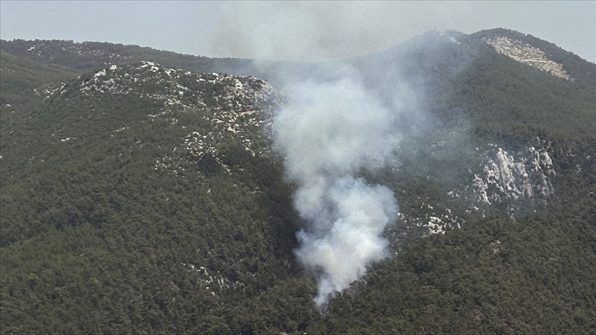 Bodrum da orman yangını!