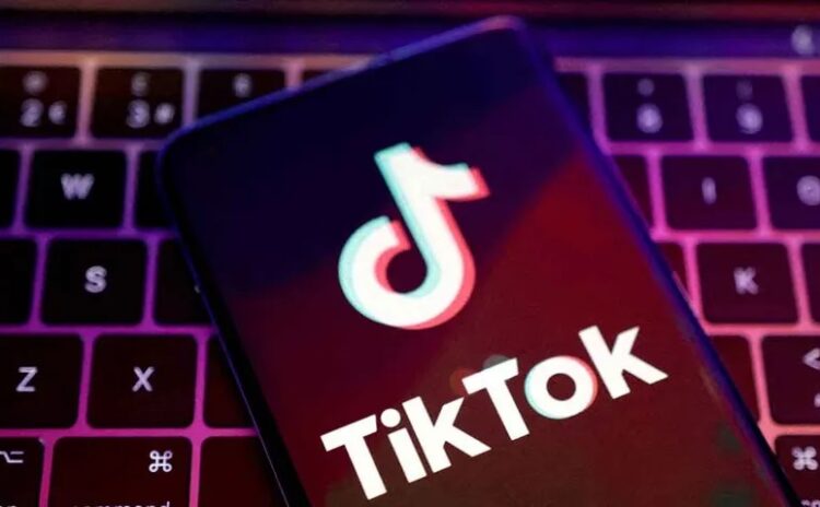 Fransız ailelerden TikTok a dava